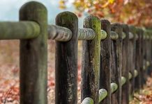 Aut accusamus mollitia tenetur dicta.